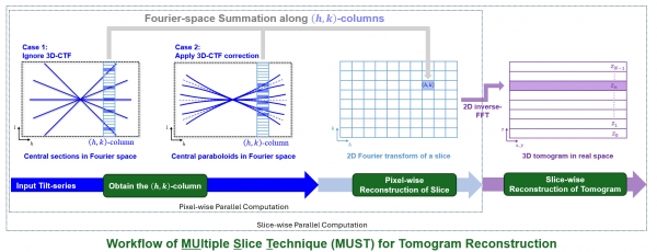 生命学院李雪明课题组和电子系沈渊课题组合作开发冷冻电子断层成像多层重建方法