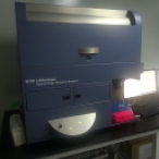 流式细胞分析仪（SORP LSRFortessa）
